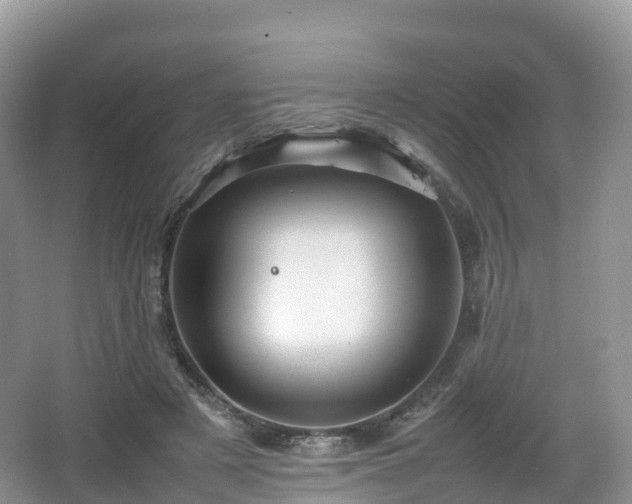 X0000066540497200603241415