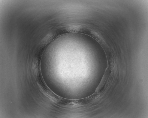 X0000066540498200603241415