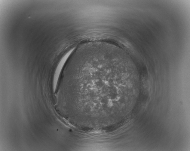 X0000066540499200603241415