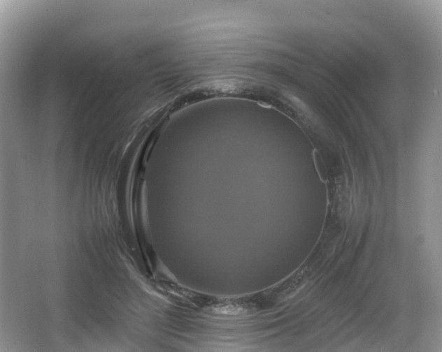 X0000066540500200603241415