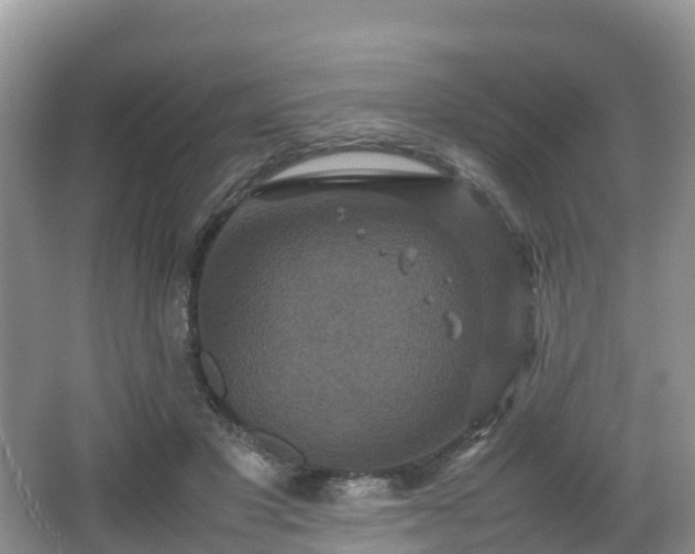 X0000066540501200603241415