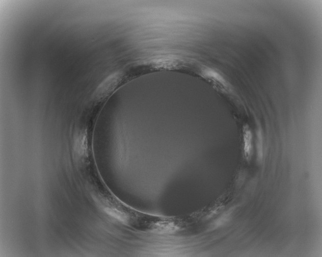 X0000066540502200603241415