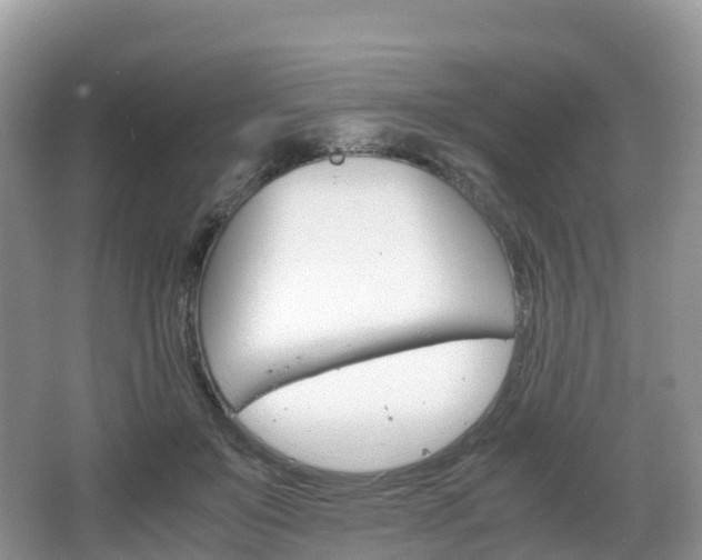 X0000066540503200603241415