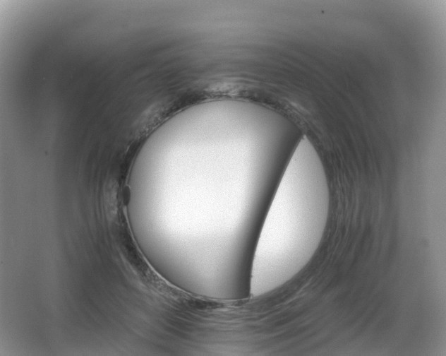 X0000066540504200603241415