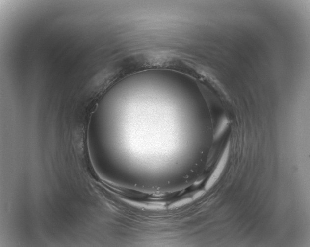 X0000066540505200603241415