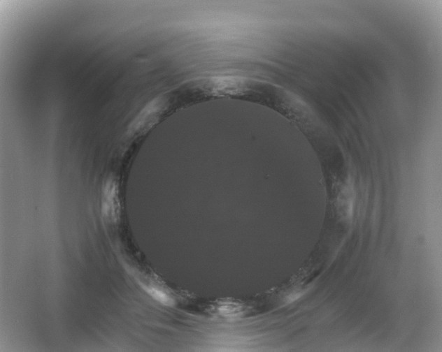 X0000066540506200603241415