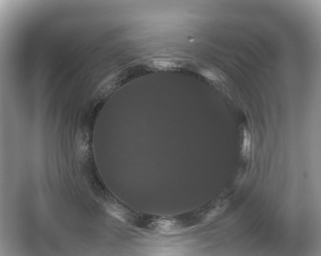 X0000066540507200603241415