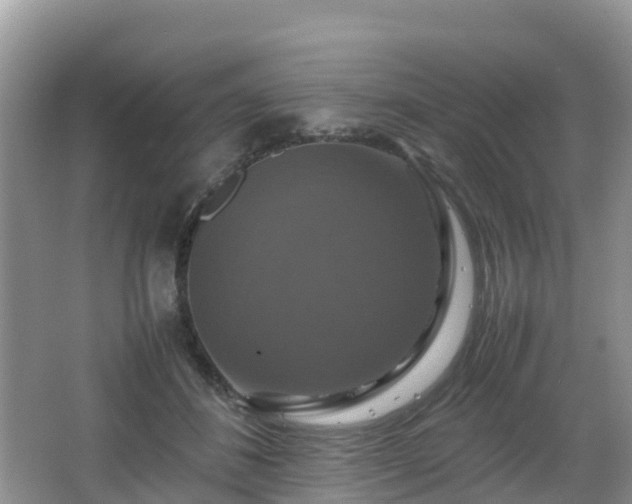 X0000066540508200603241415