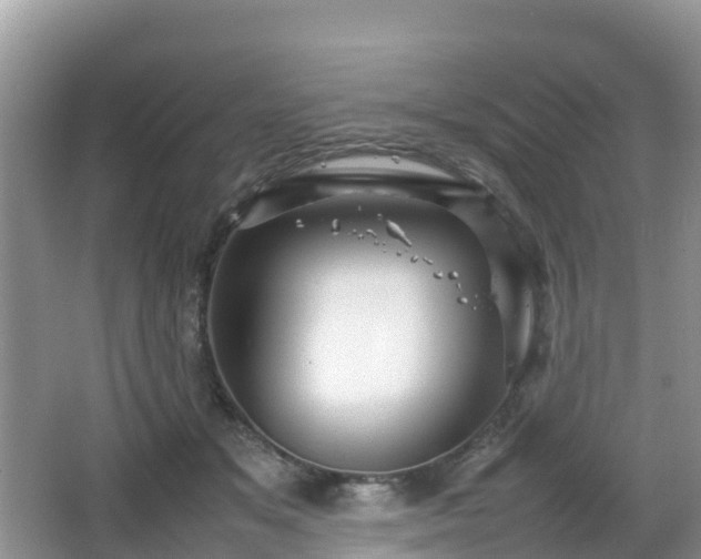 X0000066540509200603241415