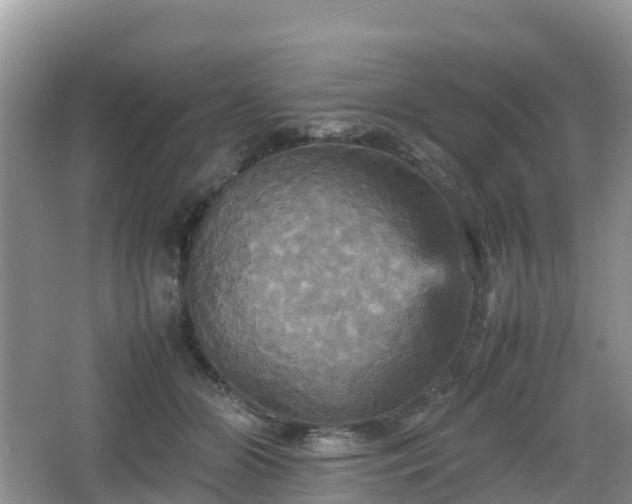 X0000066540510200603241415