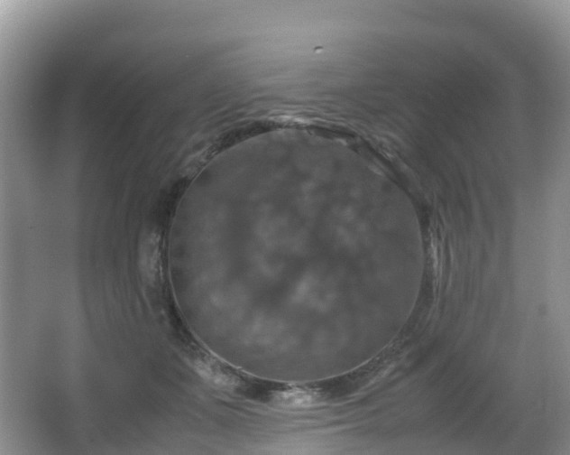 X0000066540511200603241415