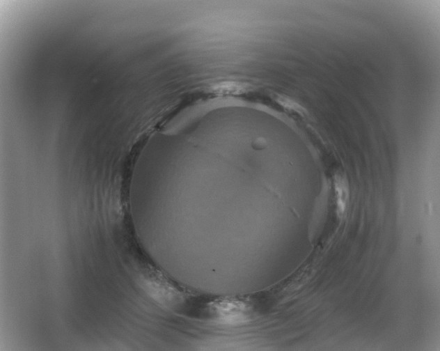 X0000066540512200603241415