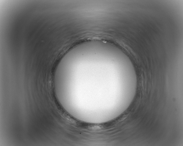 X0000066540513200603241415