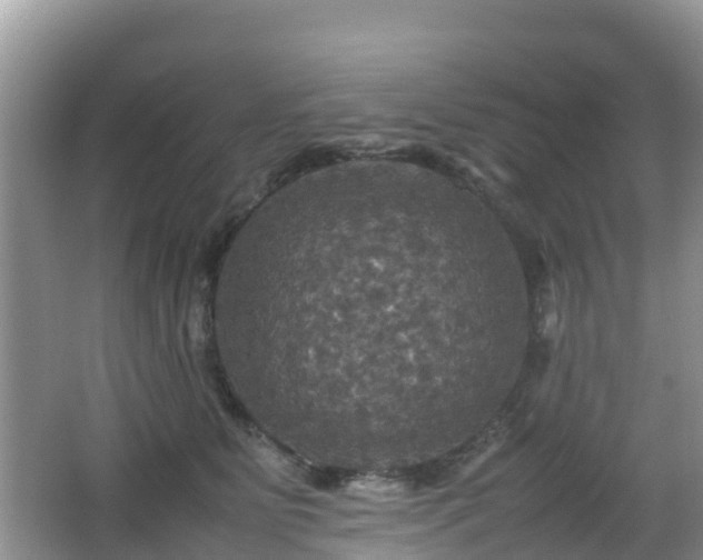 X0000066540515200603241414