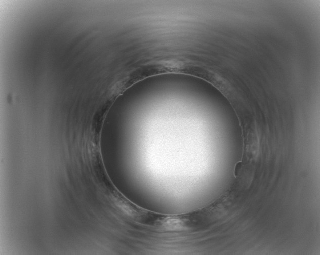 X0000066540518200603241414