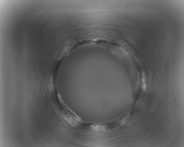 X0000066540520200603241414