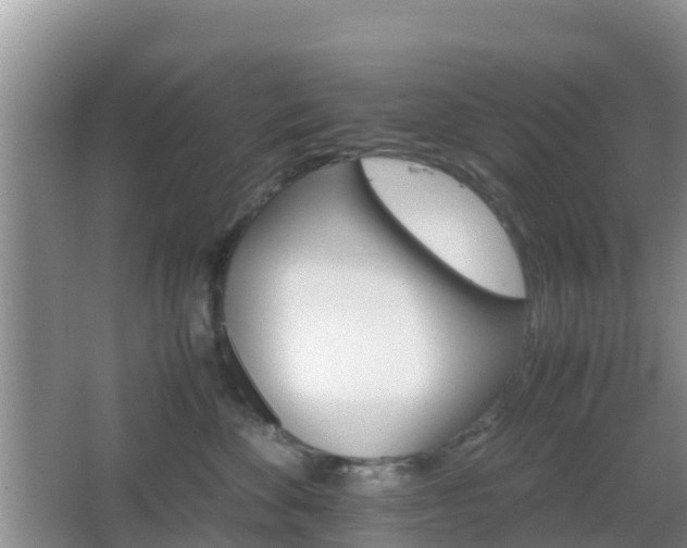 X0000066540524200603241414