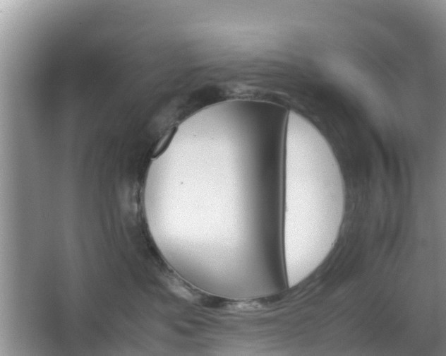 X0000066540525200603241414