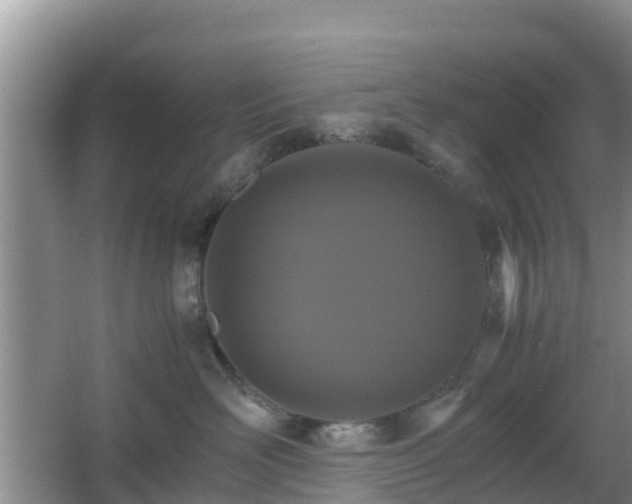 X0000066540526200603241414