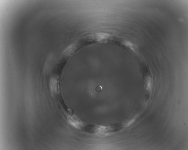 X0000066540527200603241414