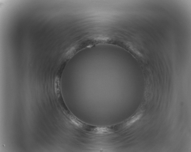 X0000066540528200603241414