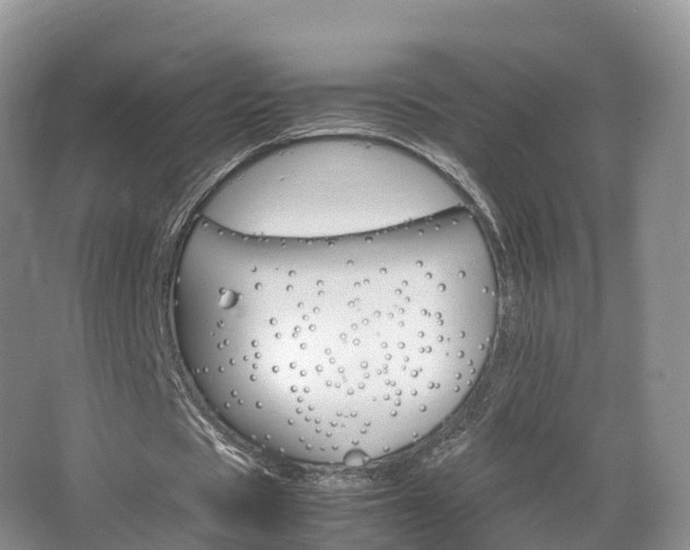 X0000066540529200603241413