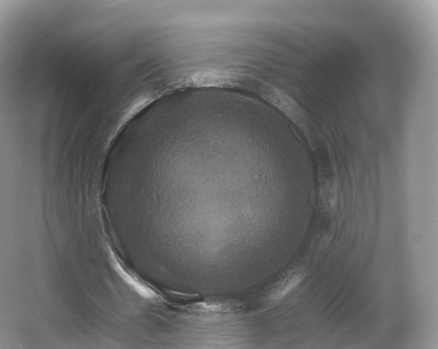 X0000066540530200603241413