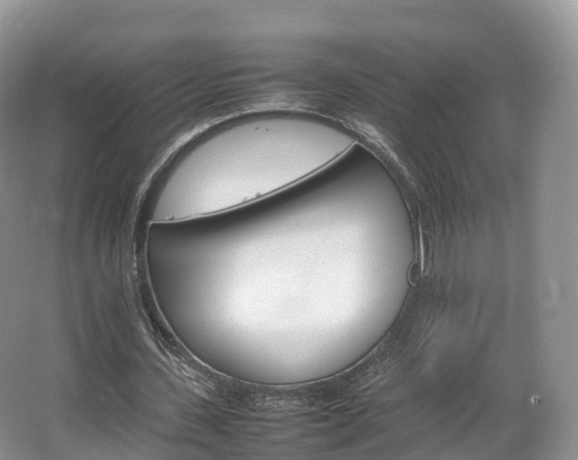 X0000066540531200603241413