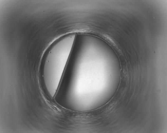 X0000066540532200603241414