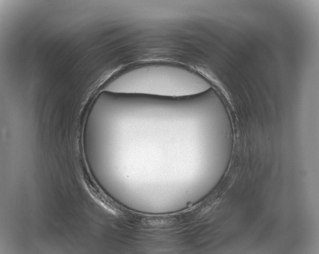 X0000066540533200603241414