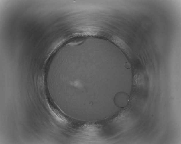 X0000066540534200603241414