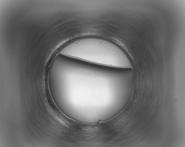 X0000066540535200603241414