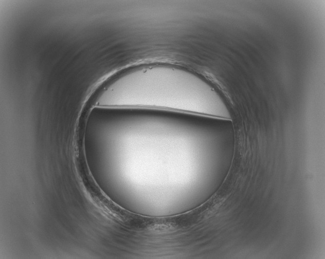 X0000066540536200603241414