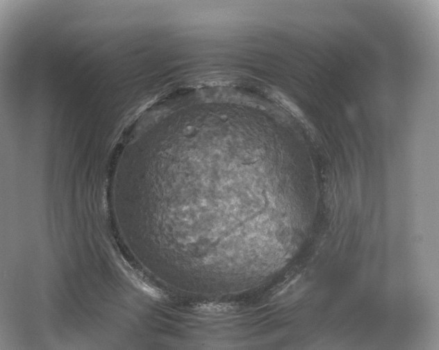 X0000066540537200603241414