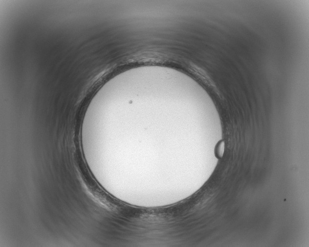 X0000066540538200603241414