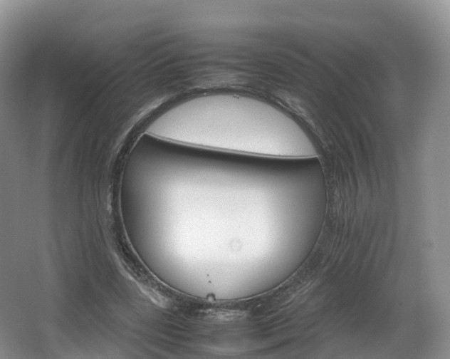 X0000066540539200603241414