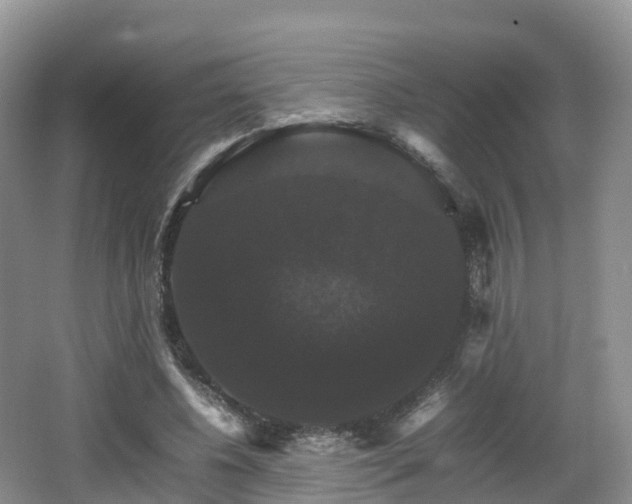 X0000066540540200603241414