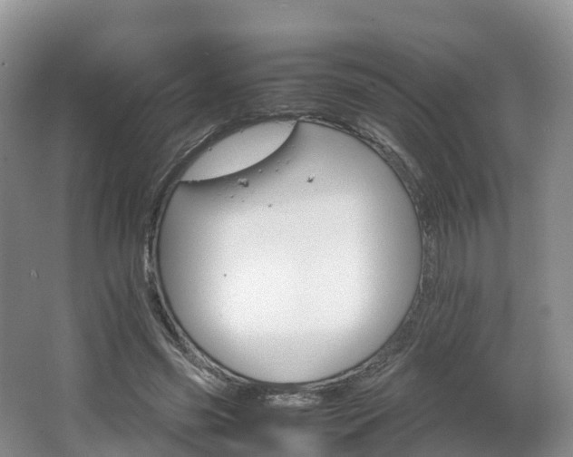 X0000066540541200603241414