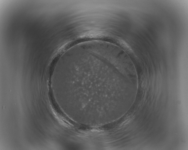 X0000066540542200603241414