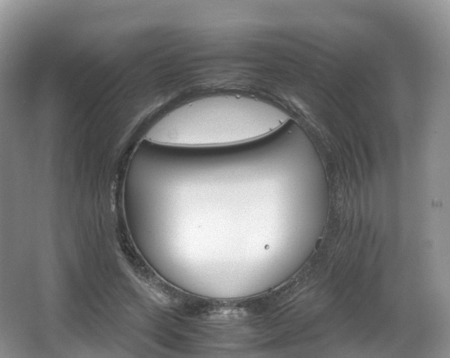 X0000066540543200603241414