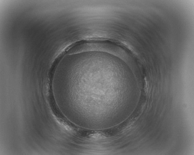 X0000066540544200603241414