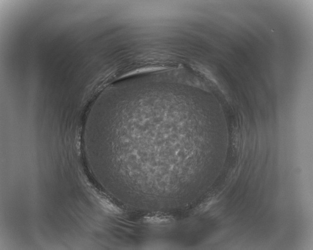 X0000066540545200603241414