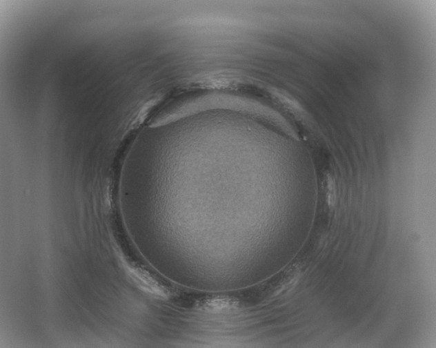 X0000066540546200603241414