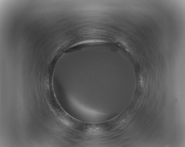 X0000066540547200603241414