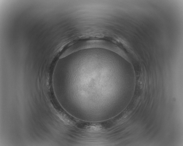 X0000066540548200603241414