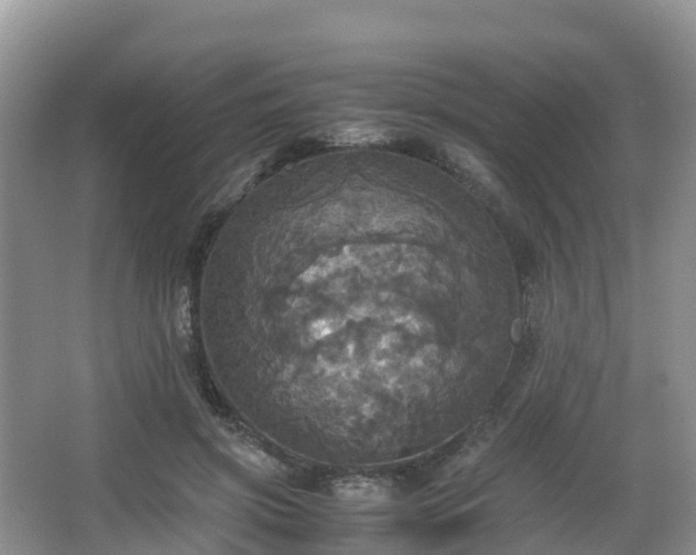 X0000066540549200603241414