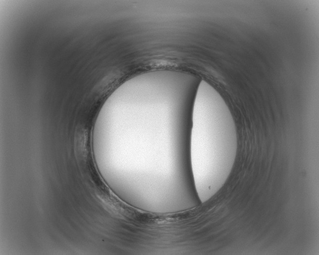 X0000066540550200603241414