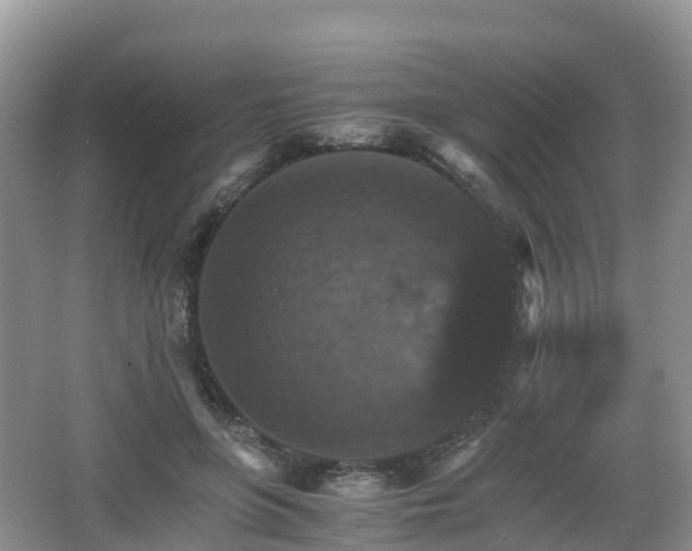 X0000066540551200603241414