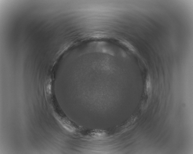 X0000066540552200603241414