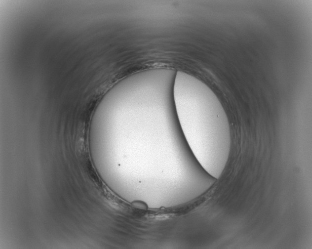 X0000066540553200603241414